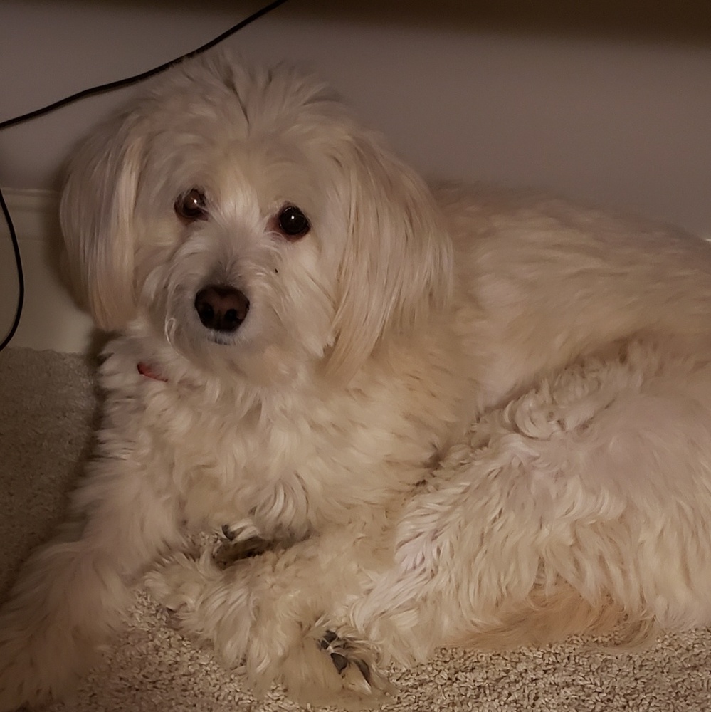 Meet your Posher, Ann